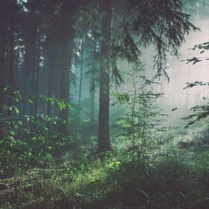 美女➕光屁屁➕捆绑
